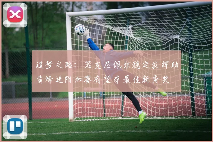 追梦之路：若克尼佩尔稳定发挥助黄蜂进附加赛有望夺最佳新秀奖